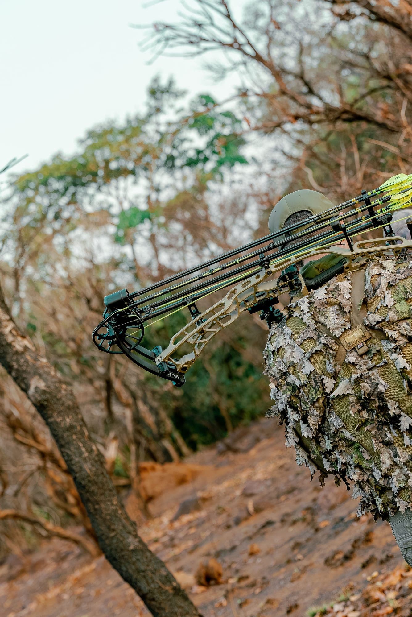 Zimbabwe bowhunting 1